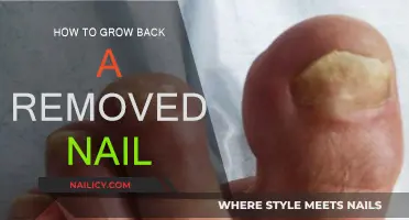 Regrowing Nails: A Complete Guide to Nail Recovery