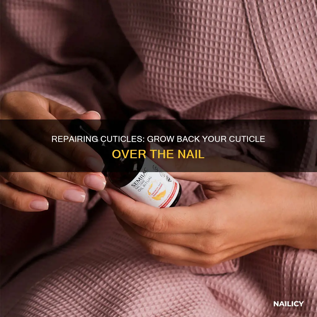 how to grow back cuticle over nail