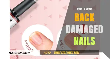 Repairing Damaged Nails: A Guide to Healthy Nail Growth