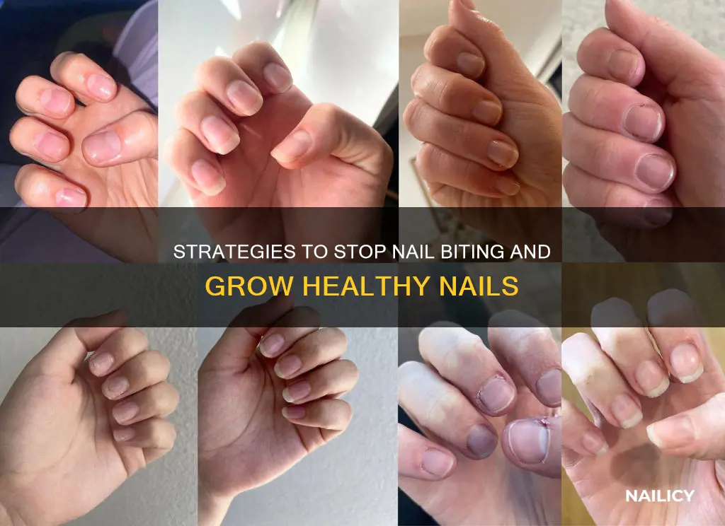 how to grow back nails after biting