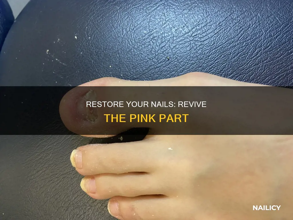 how to grow back the pink part of your nail