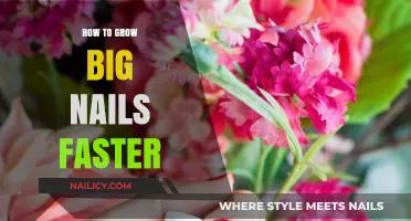 Grow Long, Strong Nails: Tips for Faster Growth