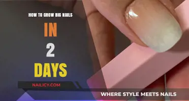 Rapid Nail Growth: Achieving Long Nails in Just 48 Hours