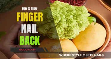 Regrowing Fingernails: Quick and Easy Methods for Nail Growth