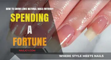 Grow Long Natural Nails: Tips for Budget-Conscious Beauties