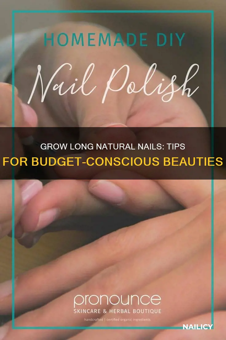 how to grow long natural nails without spending a fortune
