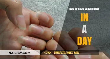 Grow Longer Nails: Quick and Easy Tips for One Day