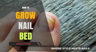 Grow Your Nail Bed: Tips for Longer Nails