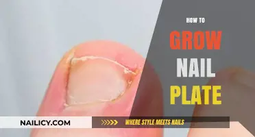 Strategies to Strengthen and Grow Your Nail Plate