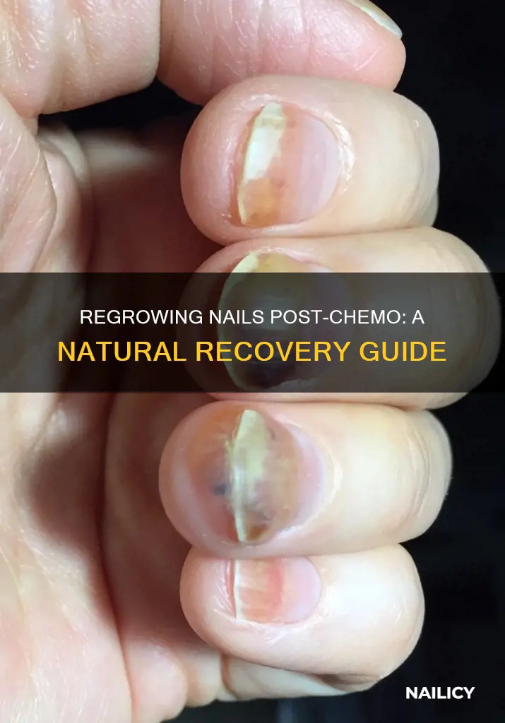 how to grow nails back after chemo