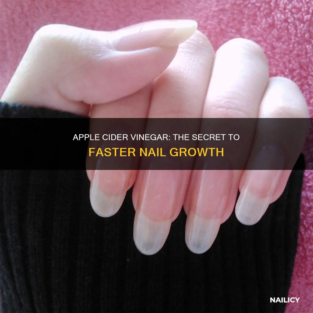 how to grow nails faster with apple cider vinegar