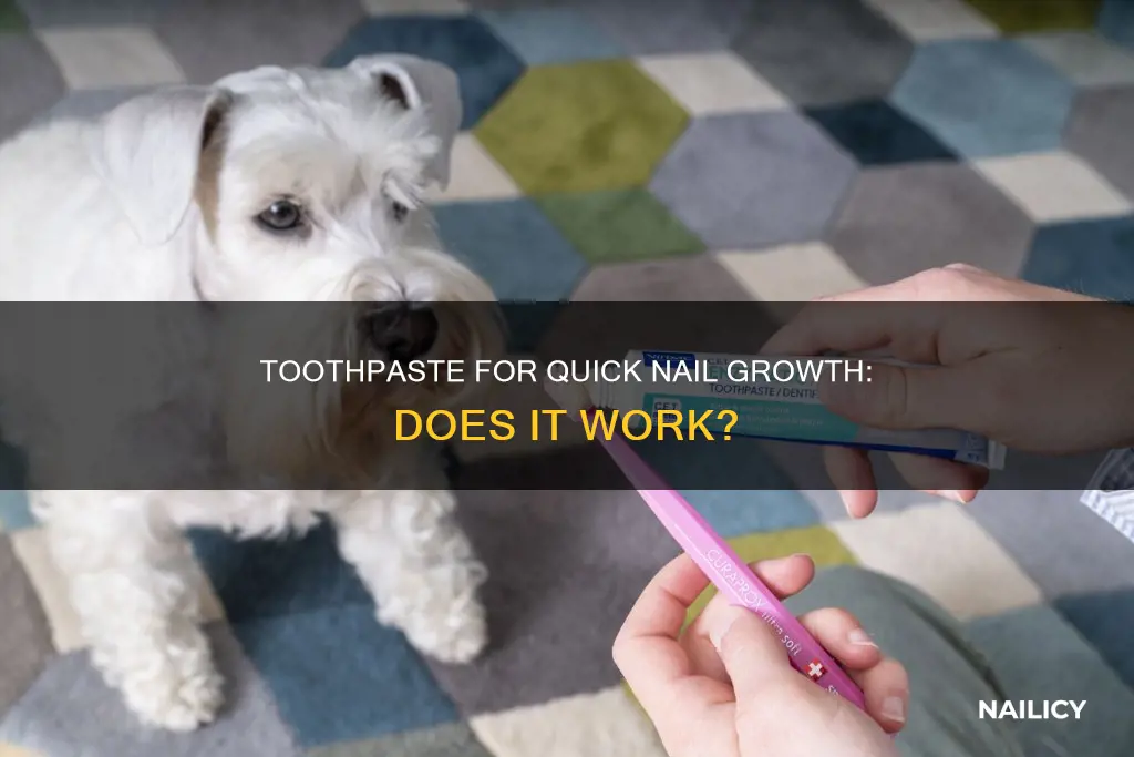 how to grow nails in 1 day with toothpaste