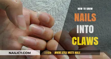 Grow Strong, Long Nails: Manicure Tips for Sharp Claws