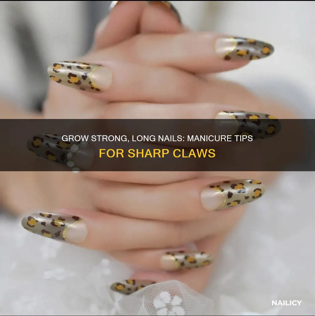 how to grow nails into claws