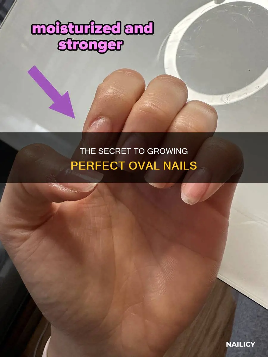 how to grow oval nails