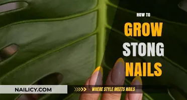 Get Strong Nails: The Ultimate Guide to Nail Care