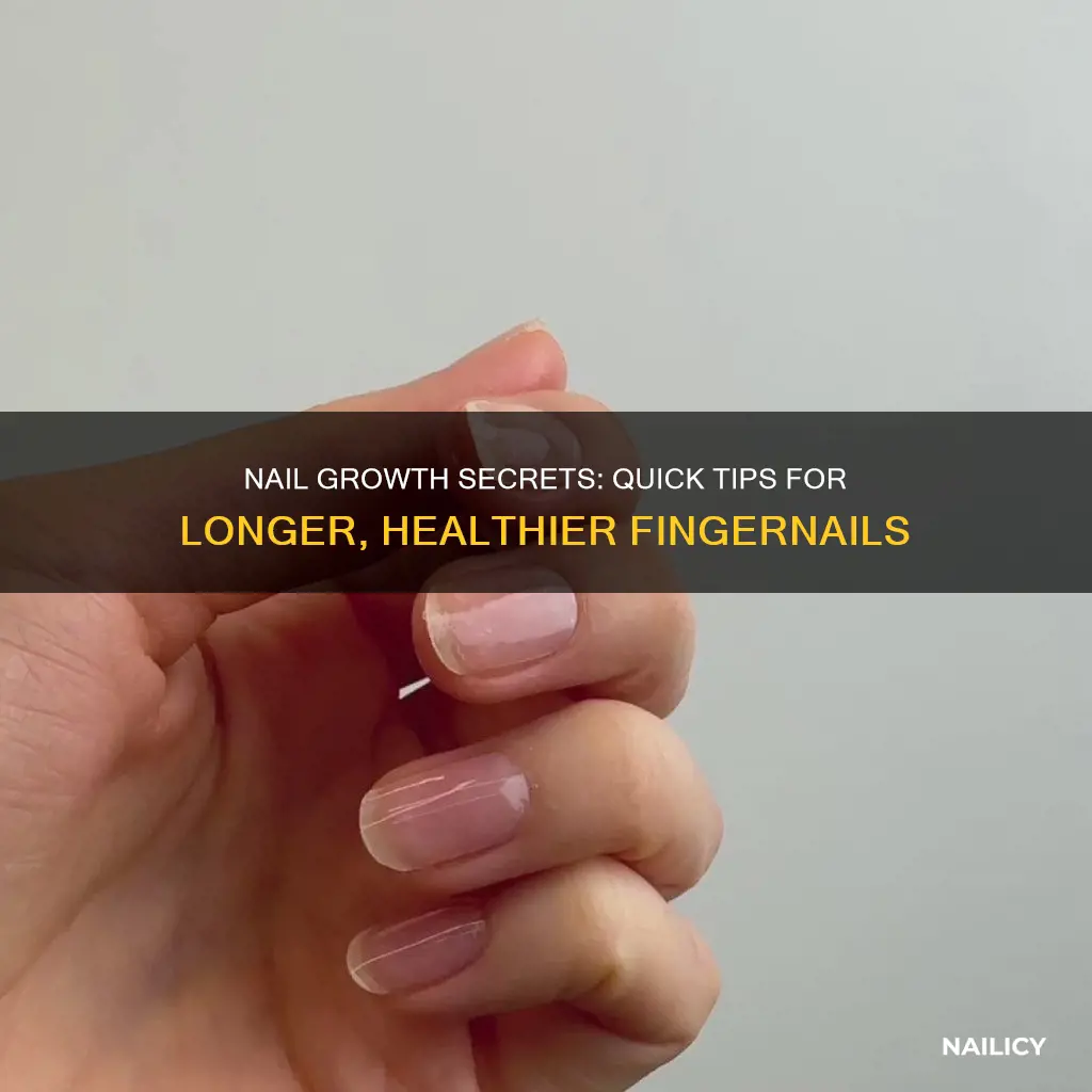 how to grow your finger nails fast