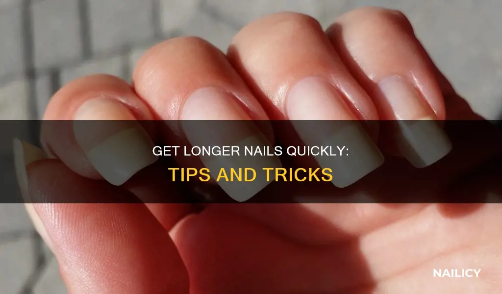 how to grow your nails out fast