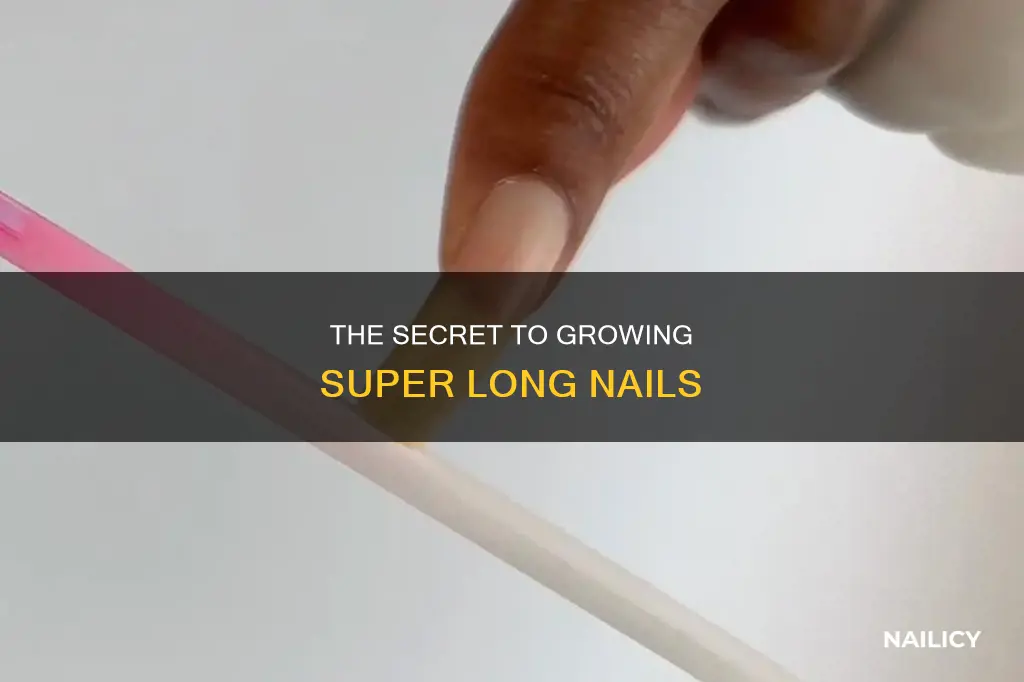 how to grow your nails super long