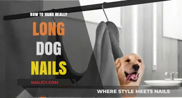 Trimming Your Dog's Nails: A Step-by-Step Guide