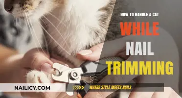Trimming Cat Nails: Tips and Tricks for Success
