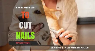 Trimming Dog Nails: The Safe Way to Clip