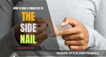 Healing a Cut at Your Fingertip: Quick and Easy Steps