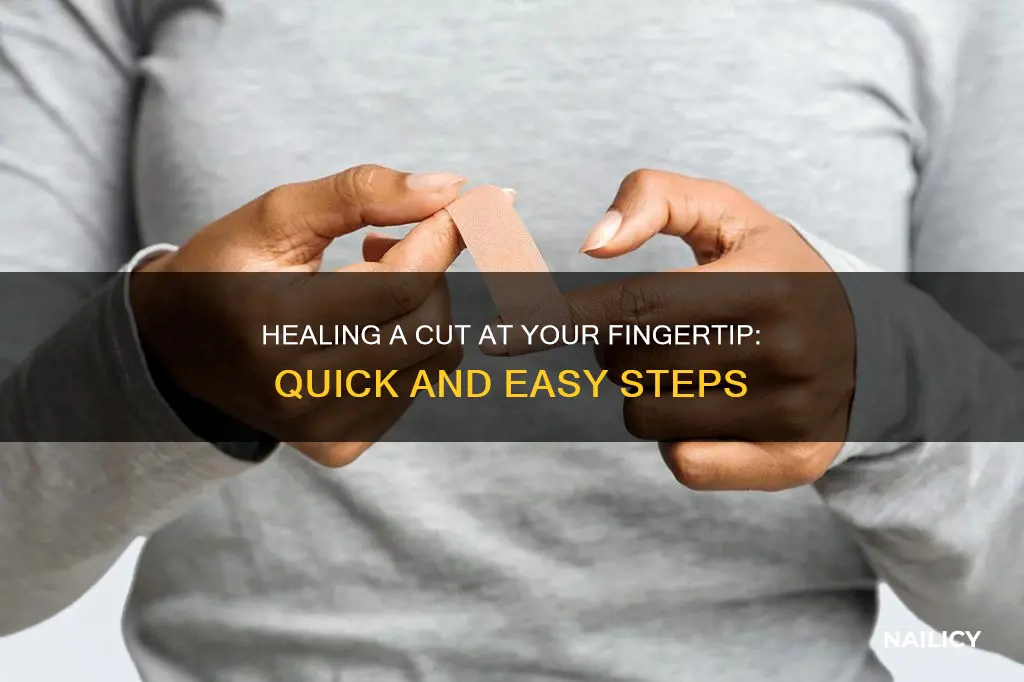 how to heal a finger cut at the side nail