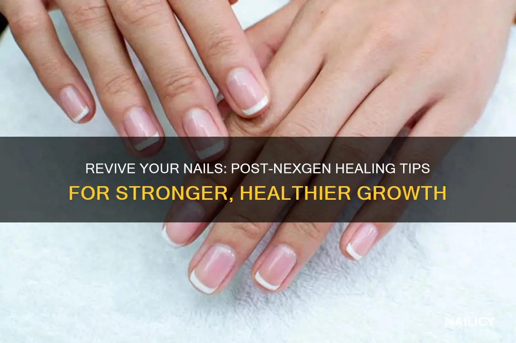 how to heal your nails after nexgen