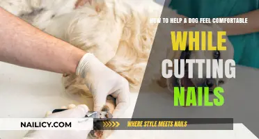 Calm Nail Trims: Tips for a Relaxed Pup