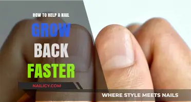 Quick Nail Growth: Tips for Fast Recovery