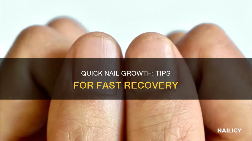 how to help a nail grow back faster