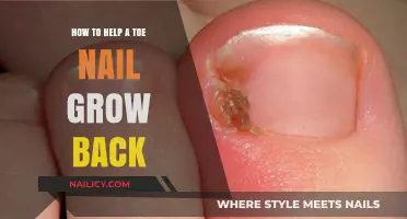 Effective Treatments to Regrow a Lost Toenail