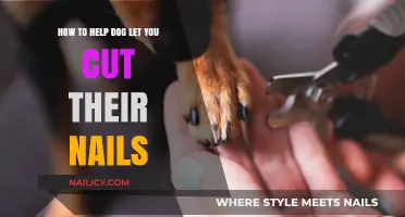 Calmly Trim Your Dog's Nails: Tips and Tricks