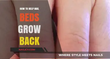 Strategies to Stimulate Nail Bed Growth and Recovery