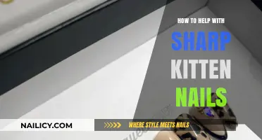 Gentle Solutions for Managing Sharp Kitten Nails: A Pet Parent’s Guide