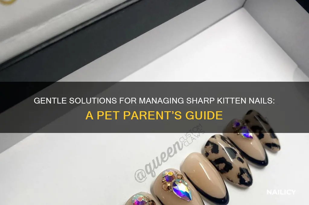 how to help with sharp kitten nails