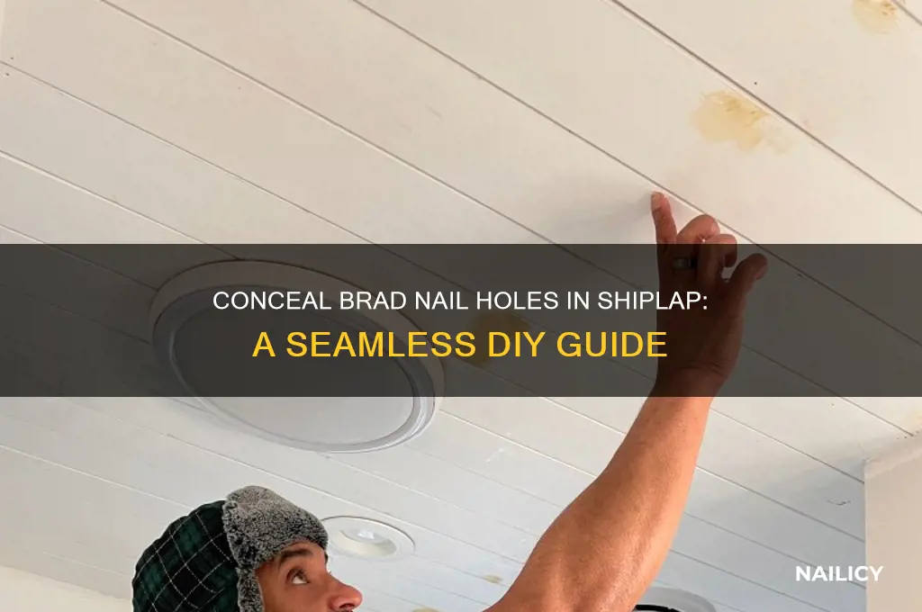 how to hid brad nails holes shiplap