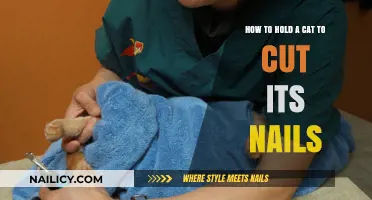 Gently Holding Your Cat for Nail Trims