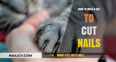 Gently Holding Your Cat for Nail Trims