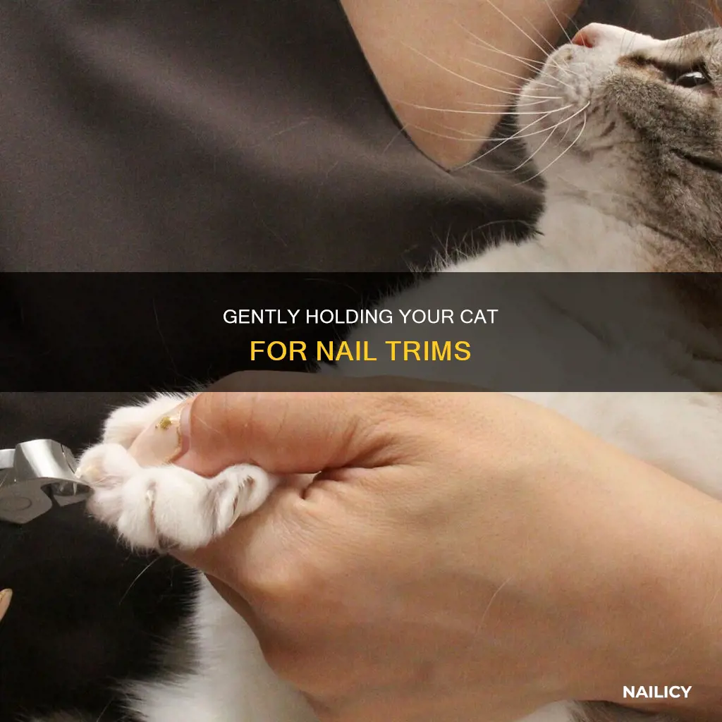 how to hold a cat to cut nails