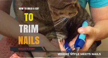 Trimming Your Cat's Nails: The Safe Way to Hold Them