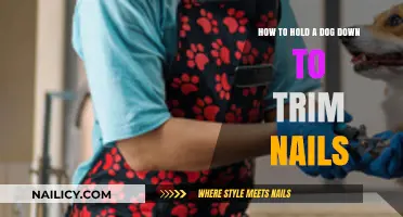 Trimming Dog Nails: Tips to Keep Your Pup Calm and Safe