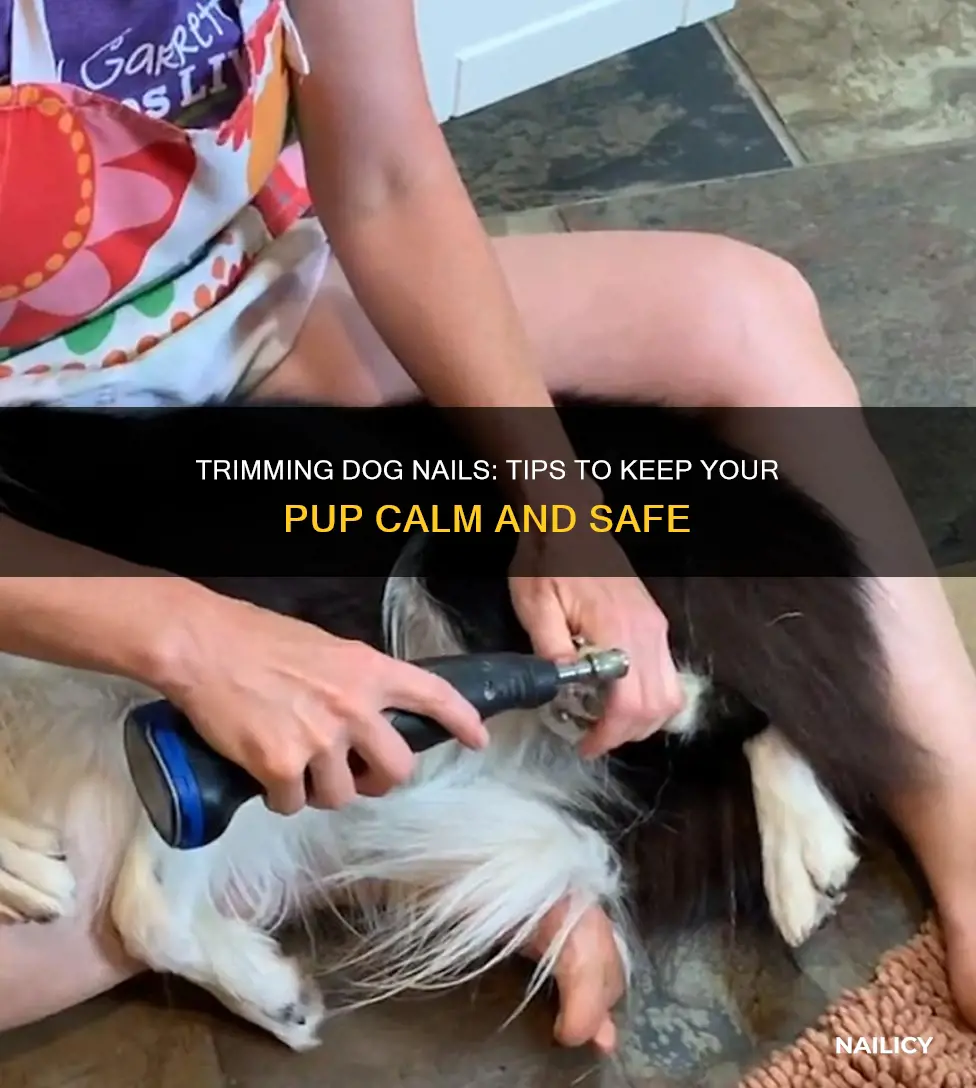 how to hold a dog down to trim nails