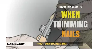 Trimming Dog Nails: The Right Way to Hold Their Leg