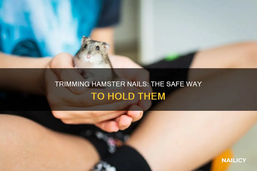 how to hold a hamster to cut nails
