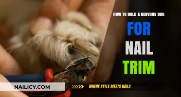 Calmly Restrain Your Dog for Stress-Free Nail Trims