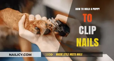 Master Puppy Nail Clipping: Gentle Techniques for Stress-Free Grooming