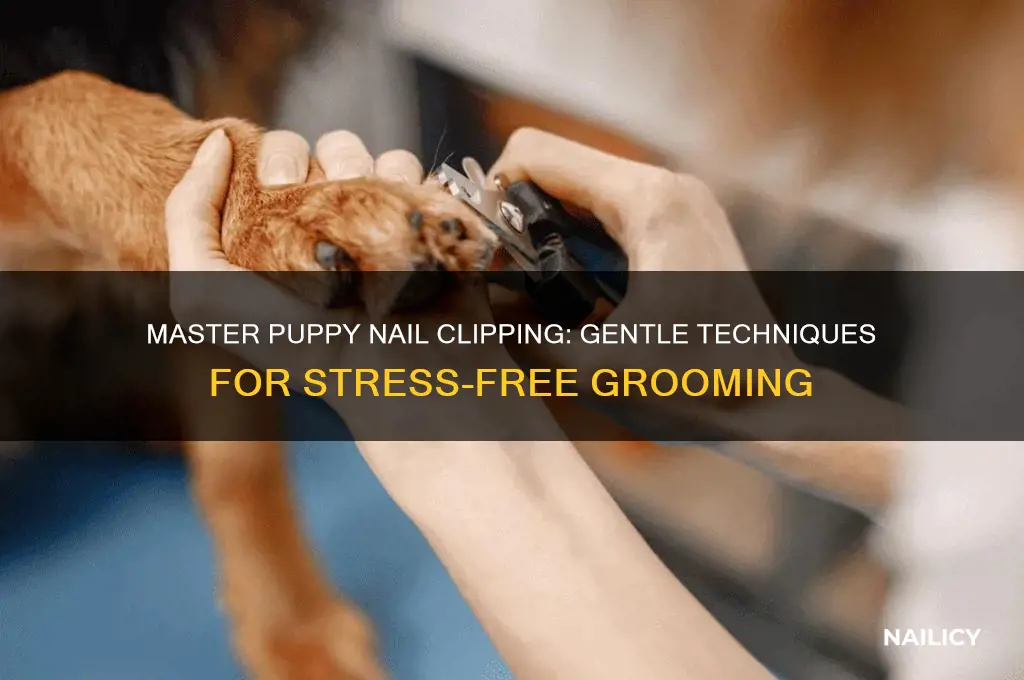 how to hold a puppy to clip nails