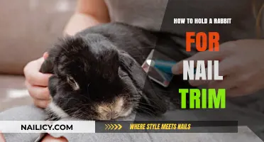 Trimming Rabbit Nails: The Safe Way to Hold Them